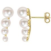 3-6.5mm Cultured Freshwater Pearl Graduated Stud Earrings in Yellow Plated Sterling Silver