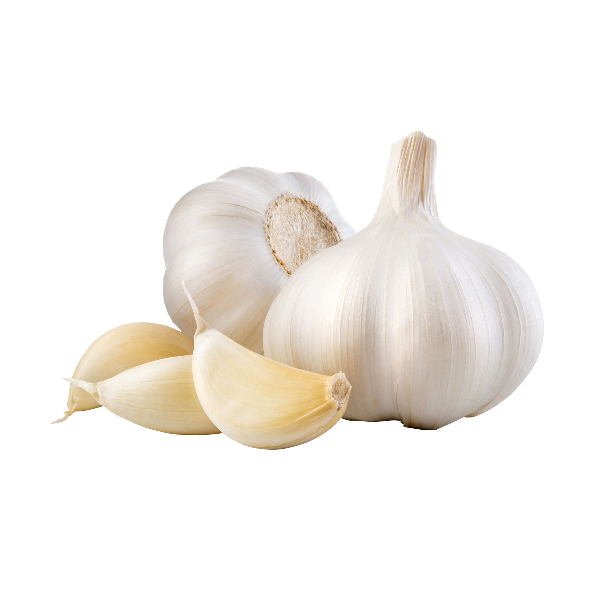 Spice World Premium Fresh Whole Garlic, 24 oz.