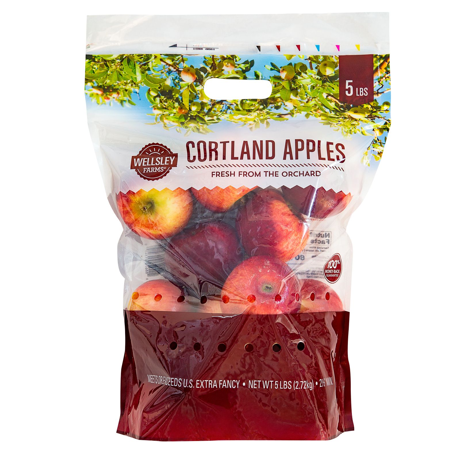 Cortland Apples, Diet tips, Exercise routines