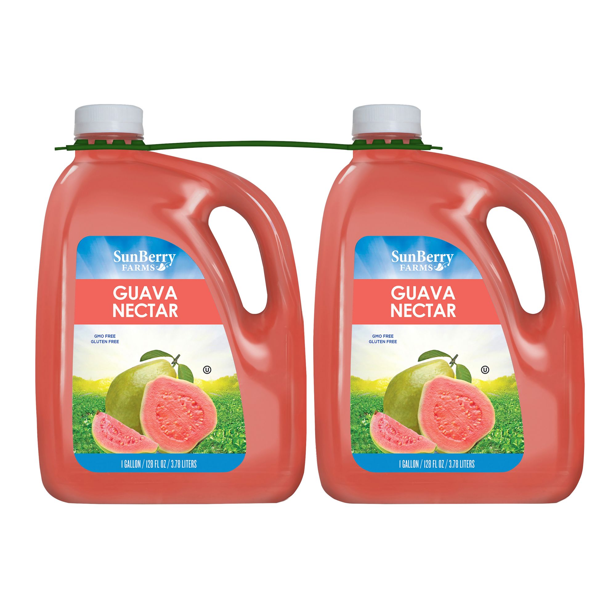Sunberry Farms Guava Nectar, 2 pk./1 gal.