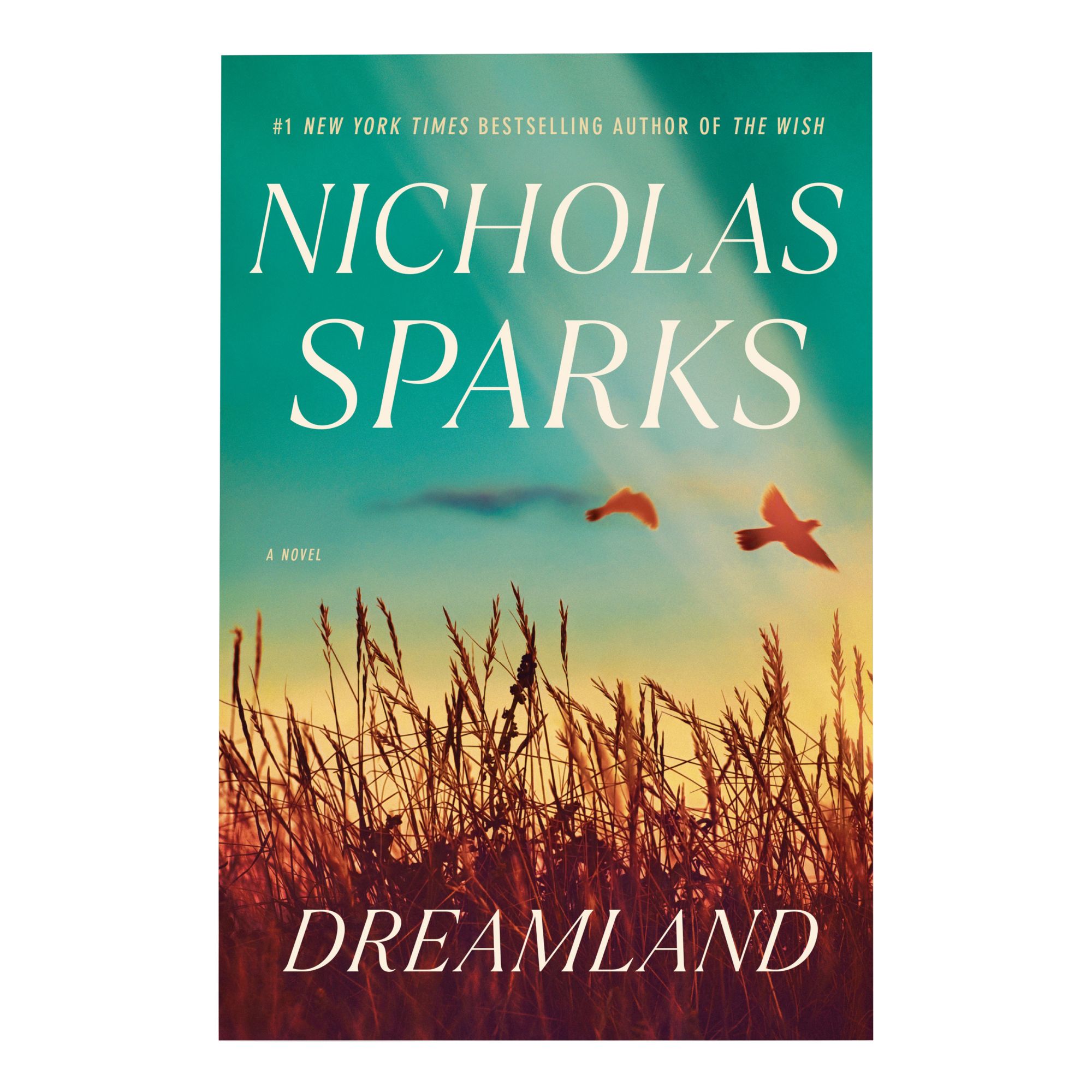 Dreamland: A Novel