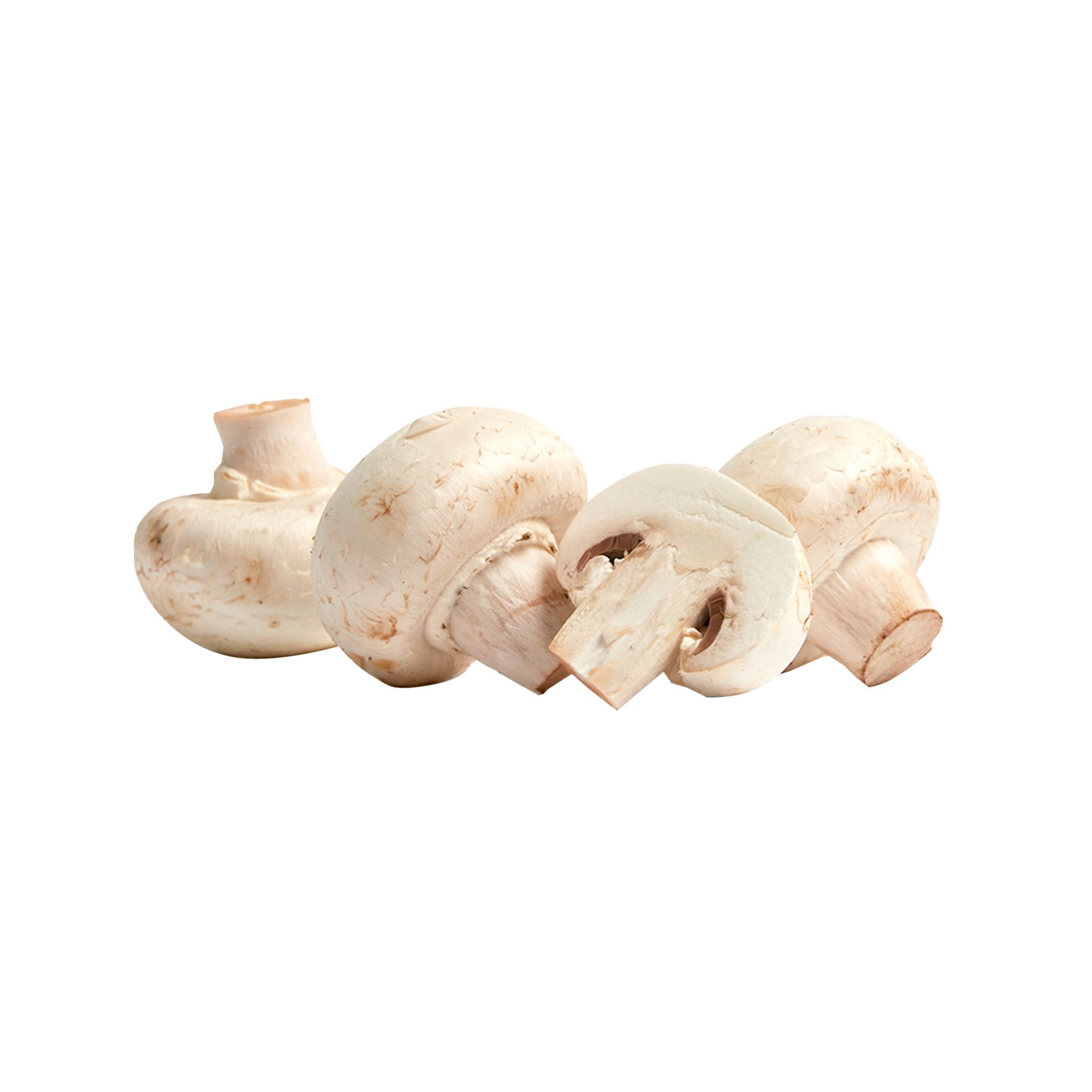 Monterey Whole White Mushrooms, 20 oz.