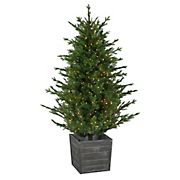 Northlight 6' Pre-lit Potted Russian Pine Artificial Christmas Tree