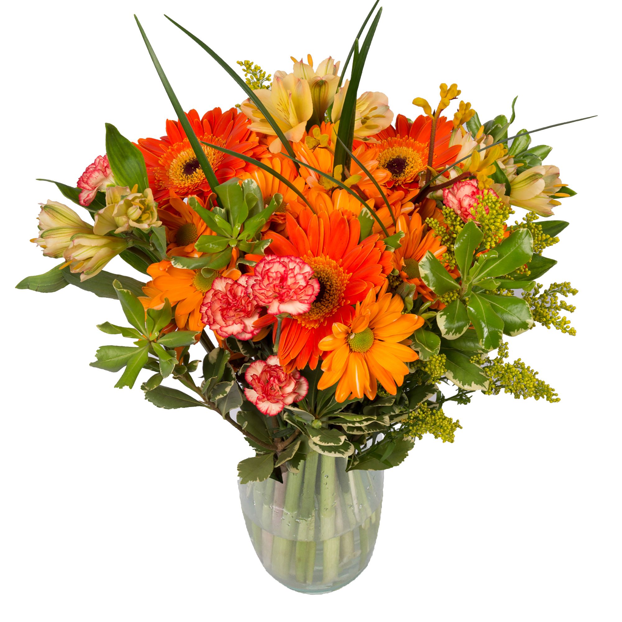 Pumpkin Spice Bouquet, 7 pk.