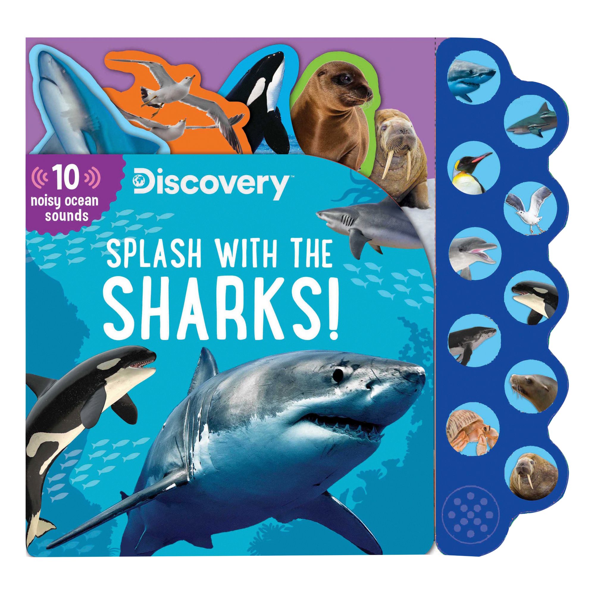 Discovery: Splash with the Sharks!