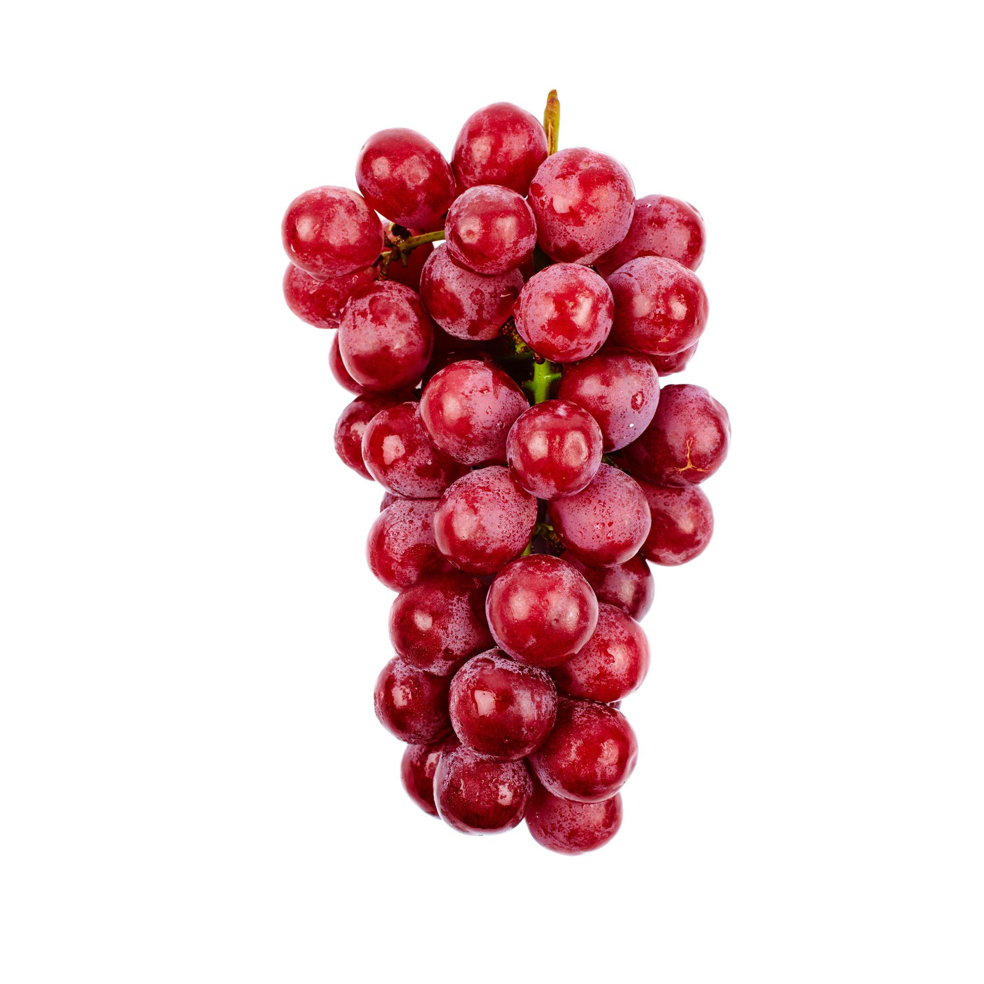 GRARED18#FL | Red Seedless Grape (18#)