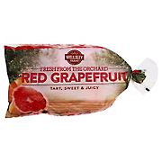 Wellsley Farms Fresh Red Grapefruit, 5 lbs.