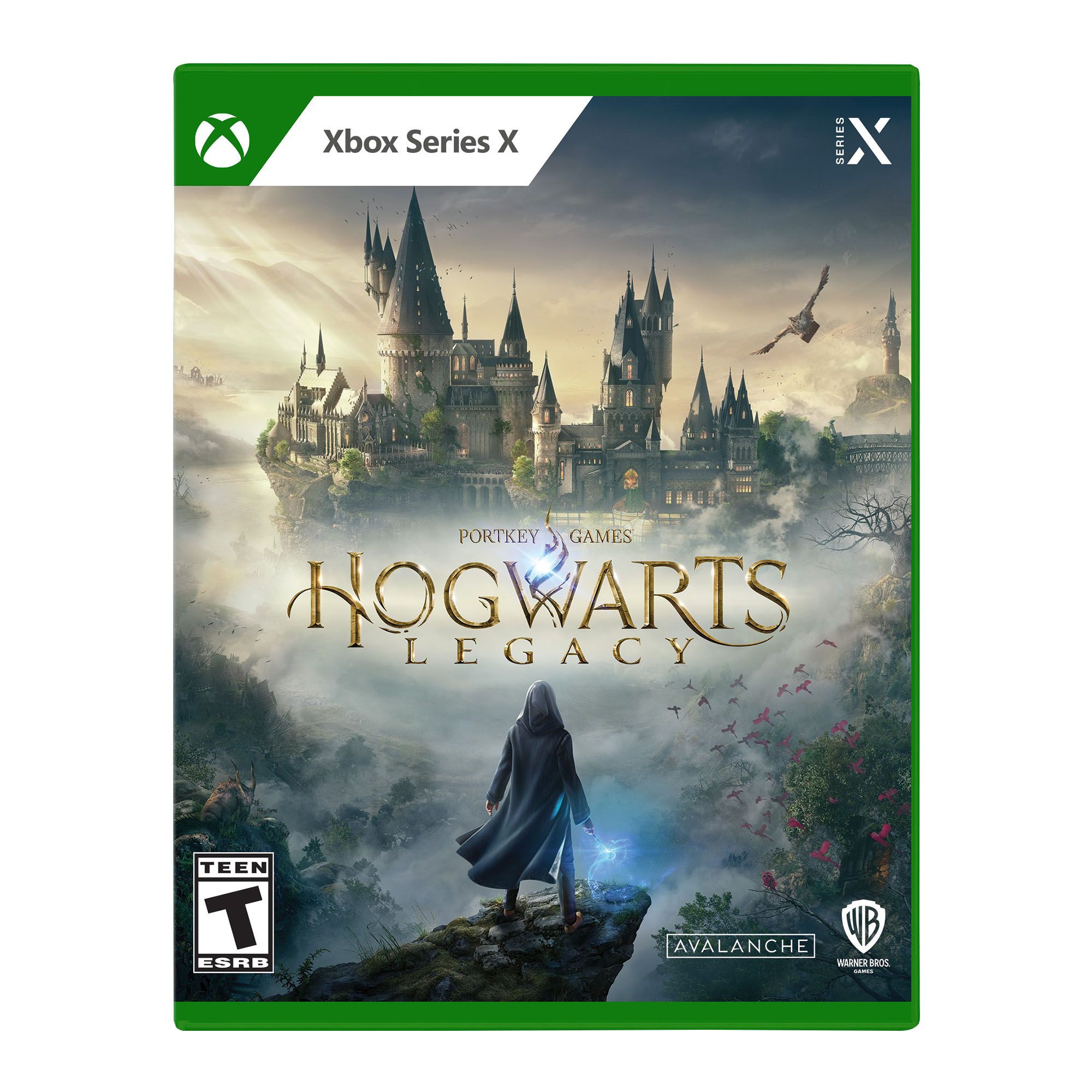 Hogwarts Legacy (Xbox Series X)