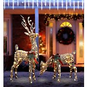 Berkley Jensen LED Lighted Reindeer Lawn Ornaments, 2 ct.