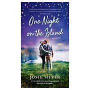 One Night on the Island: A Novel 