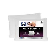 Sealy Fresh Serenity Standard/Queen Pillow, 2 pk.