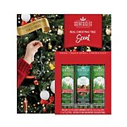 Scentsicles Stick Scented Ornament Set, 3 pk./6pc. - 2 White Winter Fir and 1 O Christmas Tree