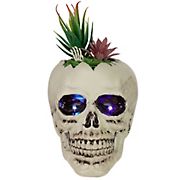 Northlight 8.75&quot; LED Lighted Succulent Halloween Skull Planter