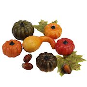 Northlight Autumn Harvest Artificial Pumpkin, Gourd, Acorn and Leaf Decoration Set, 10 pc.