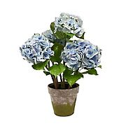 Winward Potted Hydrangea Decorative Artificial Plant - Light Blue