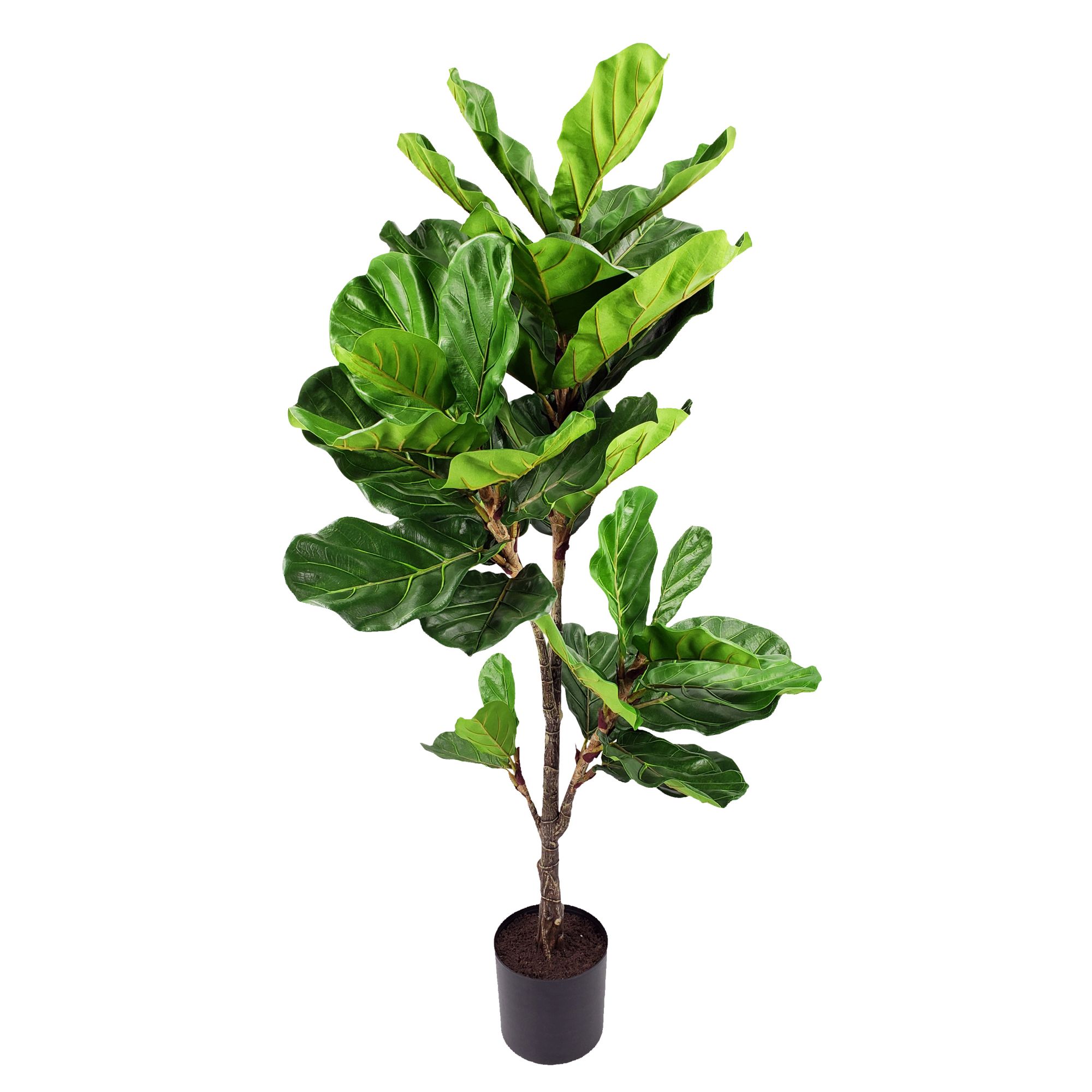 Winward 56&quot; Fiddle Leaf Plant Tree Decorative Artificial Plant