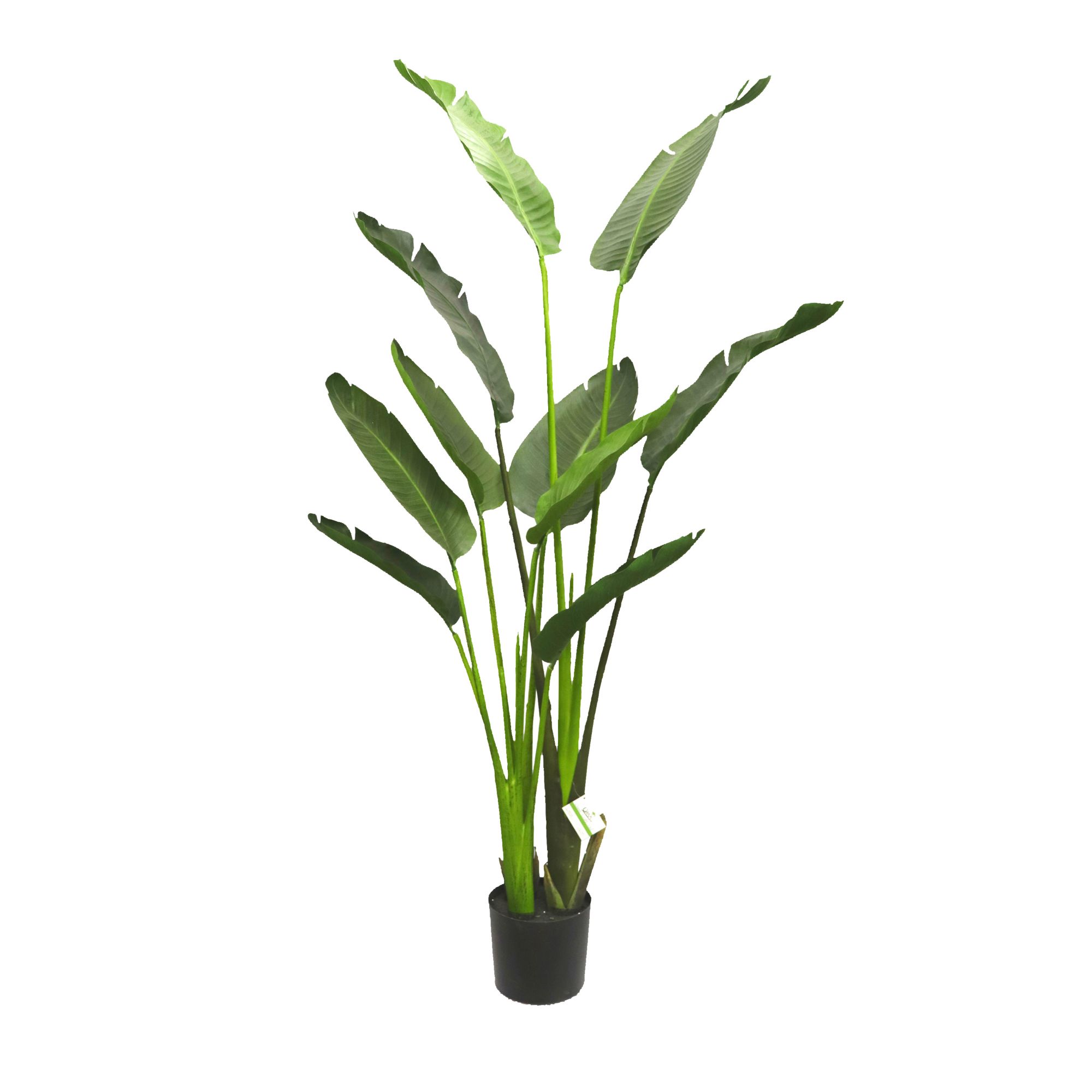 Winward 5' Potted Travelers Palm Decorative Artificial Plant