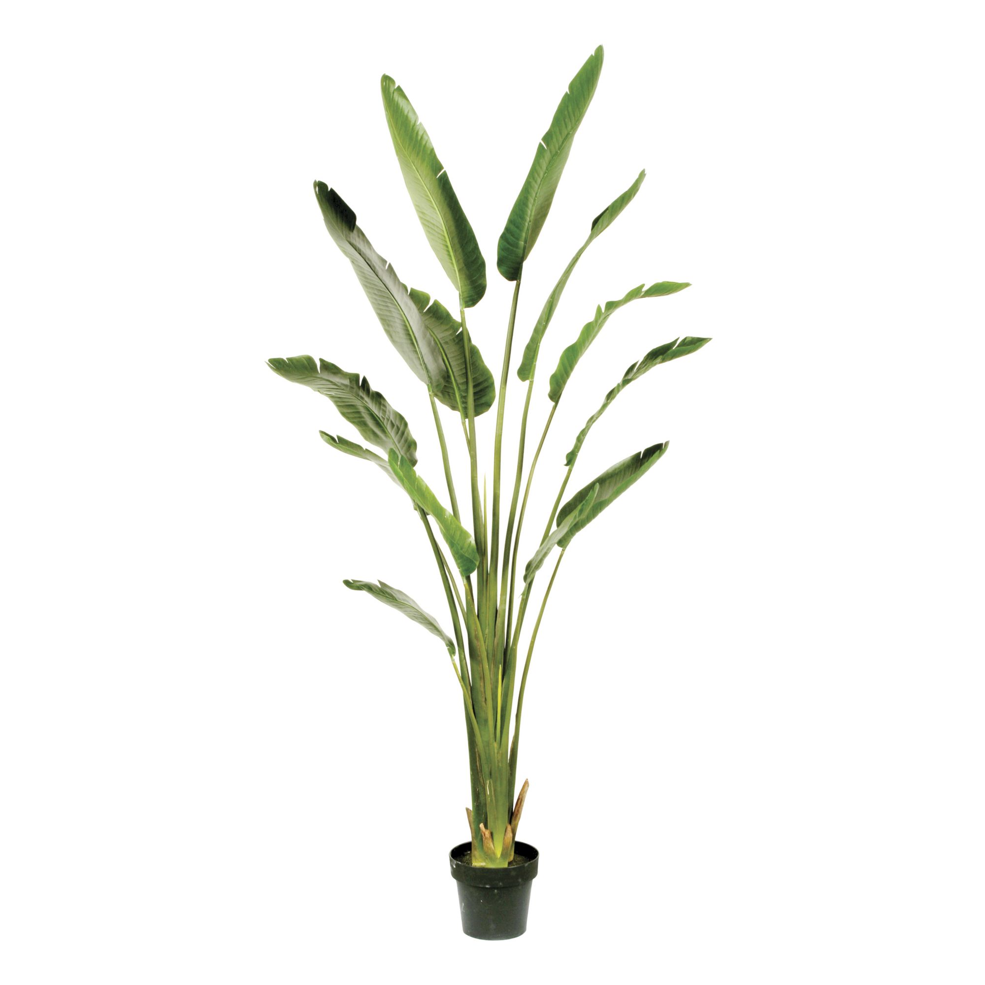 Winward 6' Potted Travelers Palm Decorative Artificial Plant