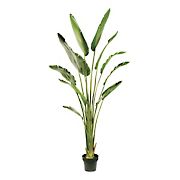Winward 6' Potted Travelers Palm Decorative Artificial Plant