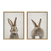 Kate and Laurel Sylvie Bunny Portrait And Bunny Tail Framed Canvas Wall Art By Amy Peterson, 18x24 Natural, Cute Baby Animal