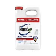 Roundup Weed & Grass Killer Concentrate Plus, 1 Gallon