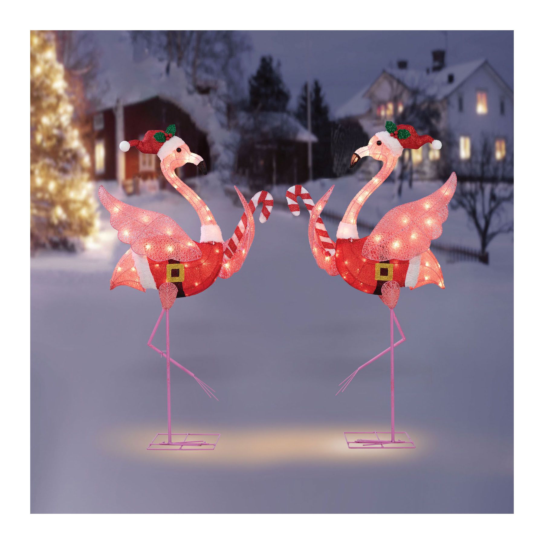 flamingo♡ 6123.jpg