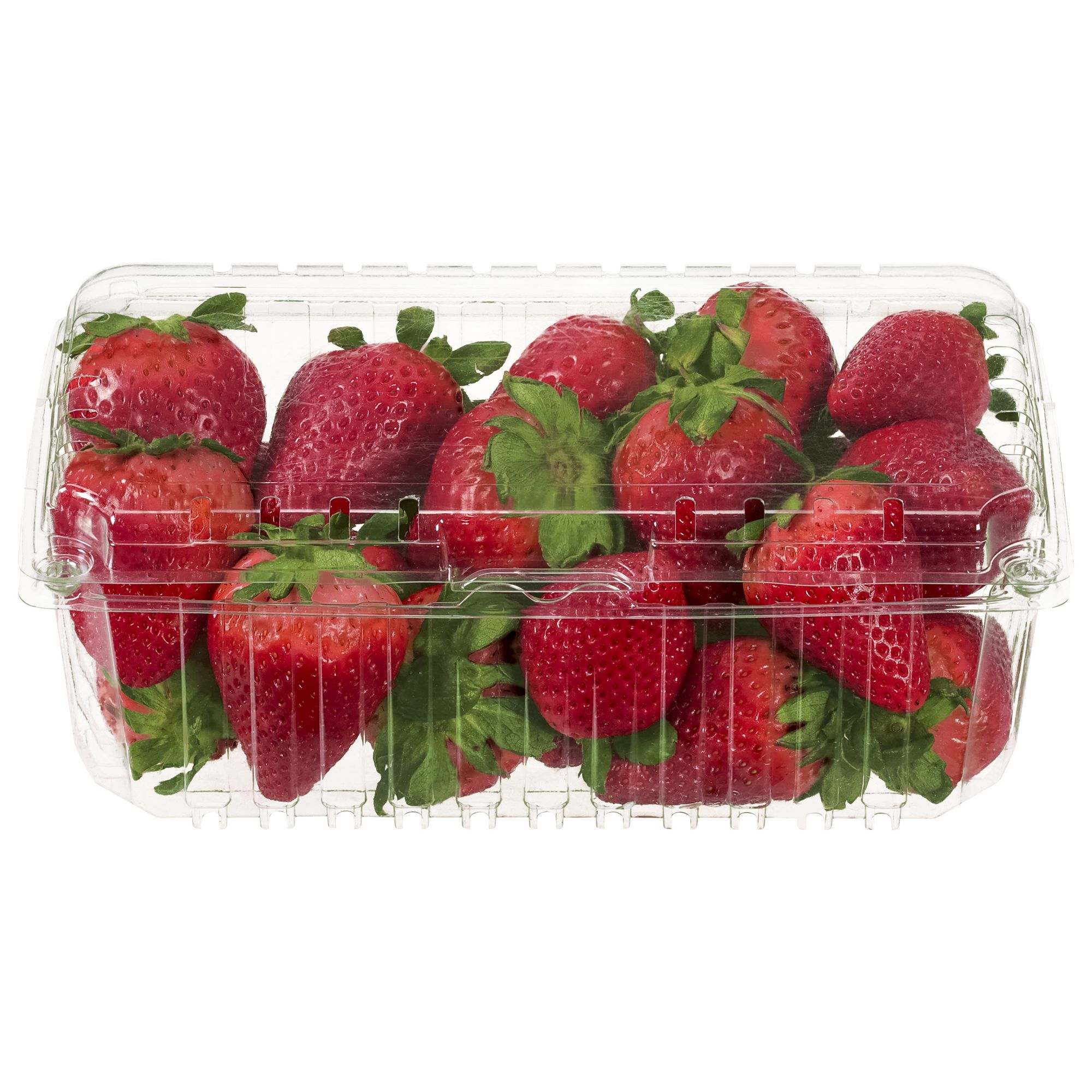Case – Organic Gala Apples – 12 x 2lb Bags – Farm Fresh Carolinas
