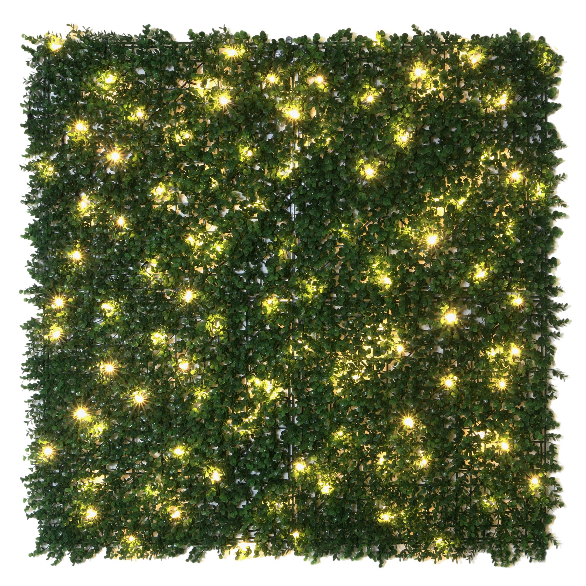 Creative Surfaces English Boxwood Wall Panel with Lights, 1