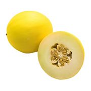 Kandy Goldendew Melon