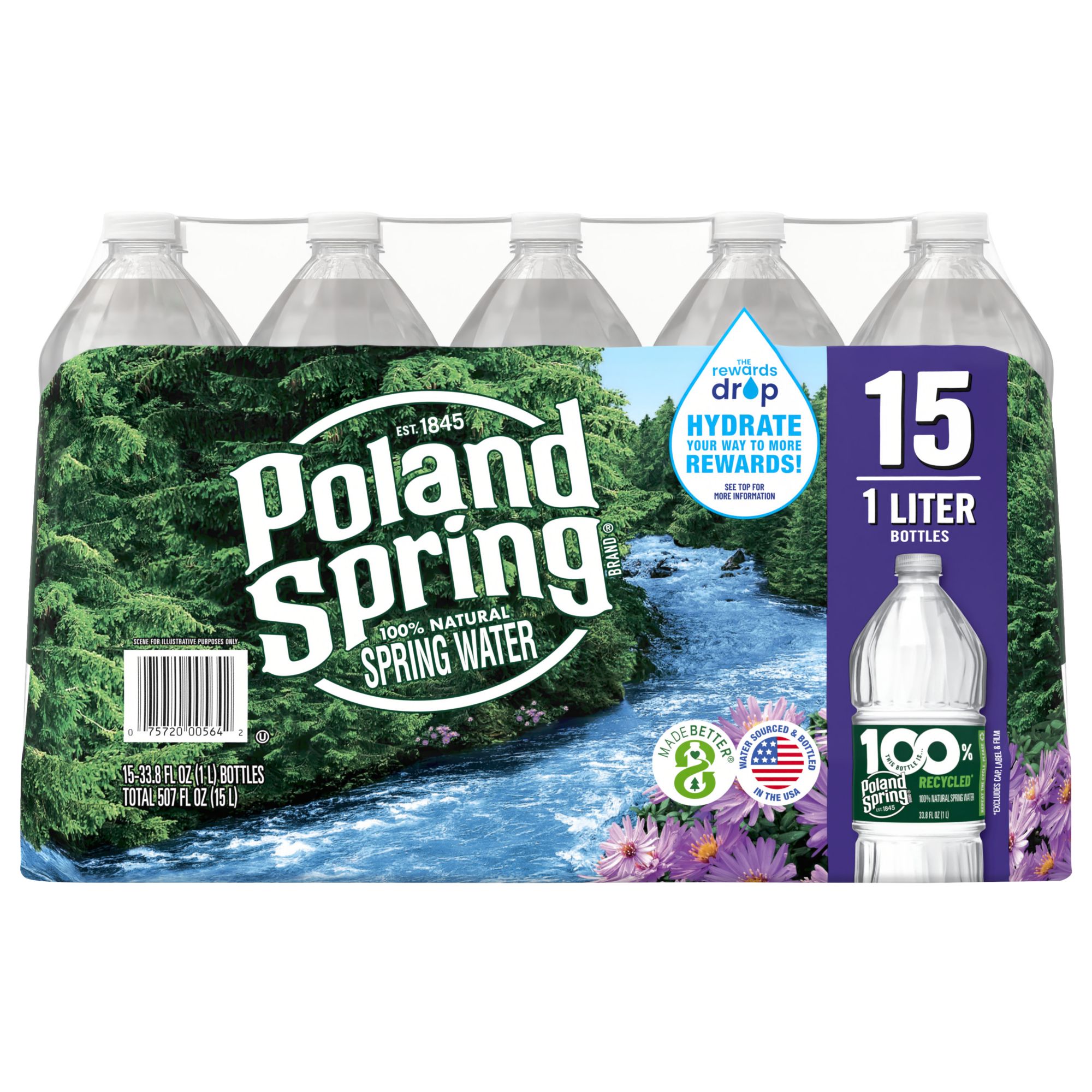 Poland Spring 100% Natural Spring Water, 15 pk./1L