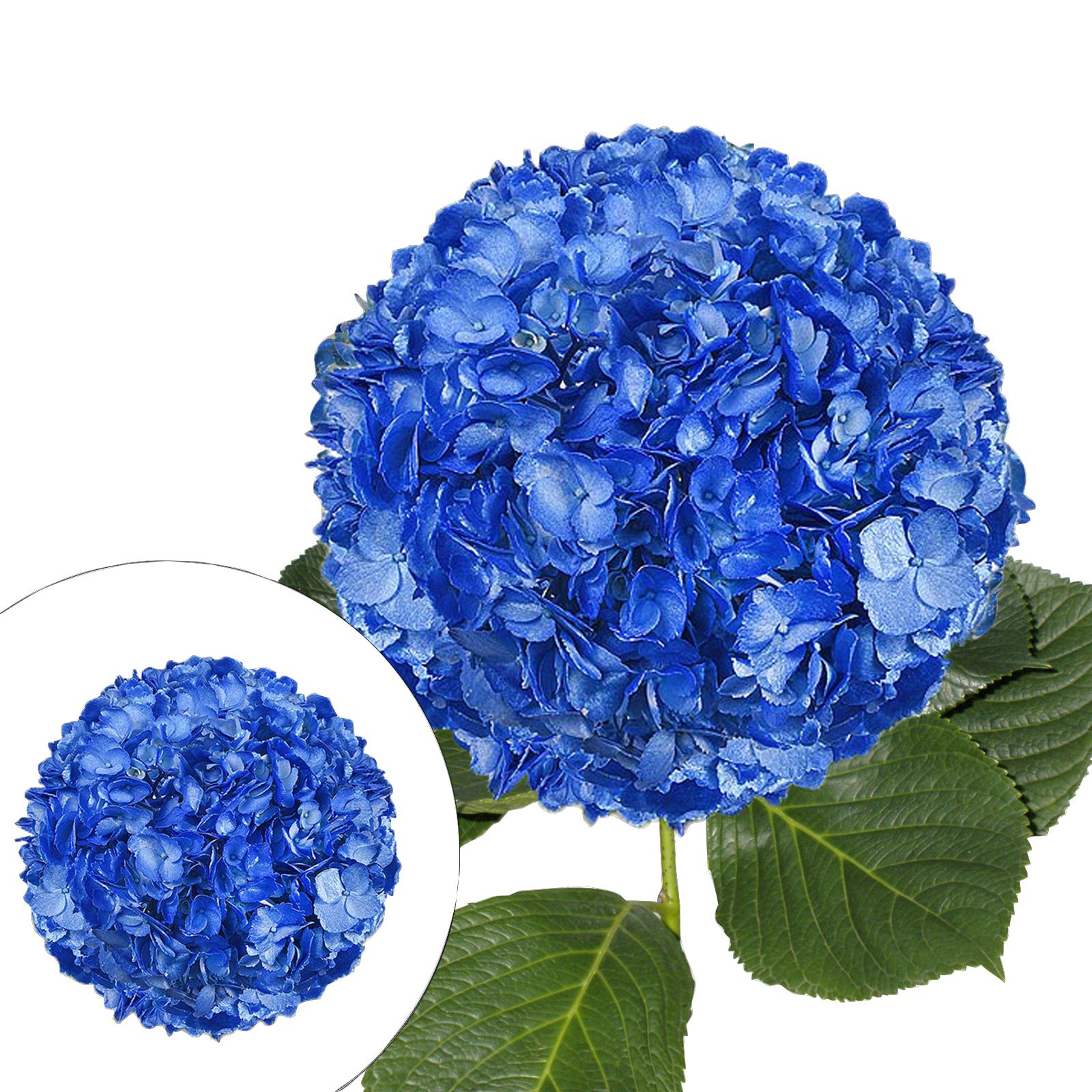 Hand Painted Metallic Blue Hydrangeas, 26 Stems