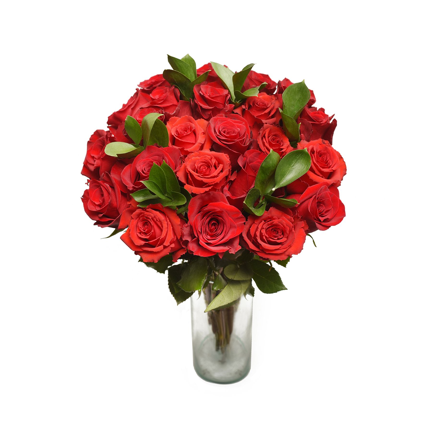 24 Red Rose Bouquet 24 red long stem roses in Abbotsford, BC - BUCKETS  FRESH FLOWER MARKET INC.