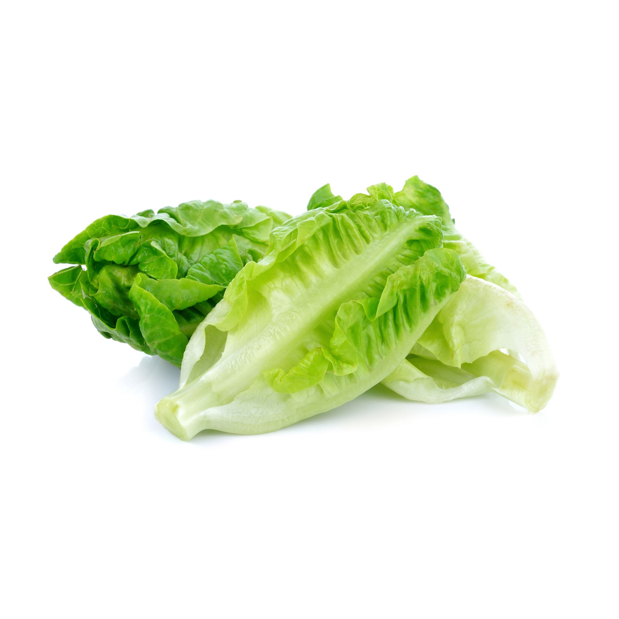 Romaine Lettuce Hearts, 3 ct.