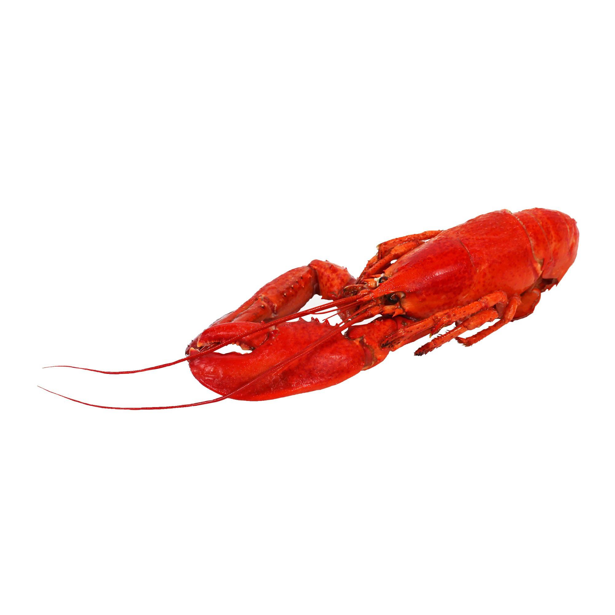 Sea Best Whole Cooked Lobster, 1-1.25 lbs.