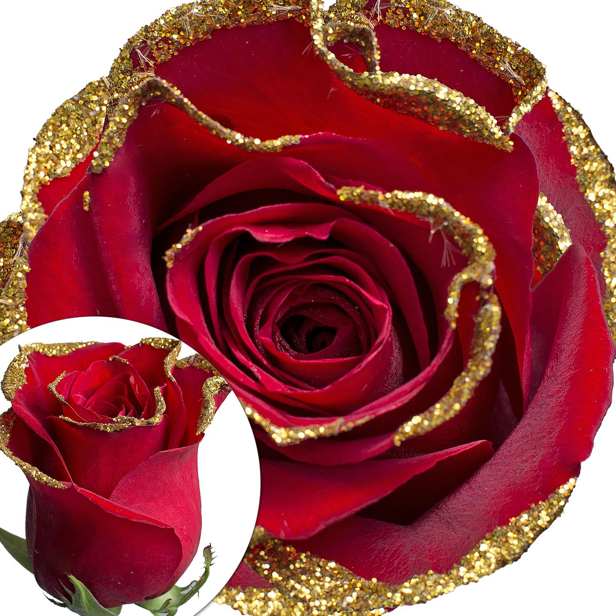 Red Roses with Gold Glitter - Pack 50
