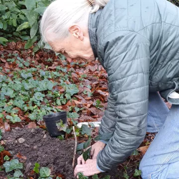 Jane Goodall in the rainforest with camera and waterfall