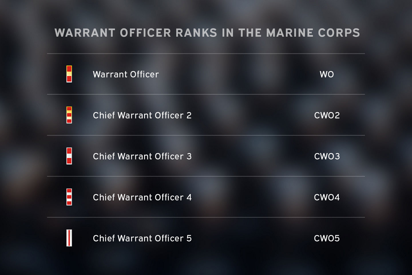 Marine Corps warrant officer rank chart showing insignia from WO to CWO5 with corresponding titles.
