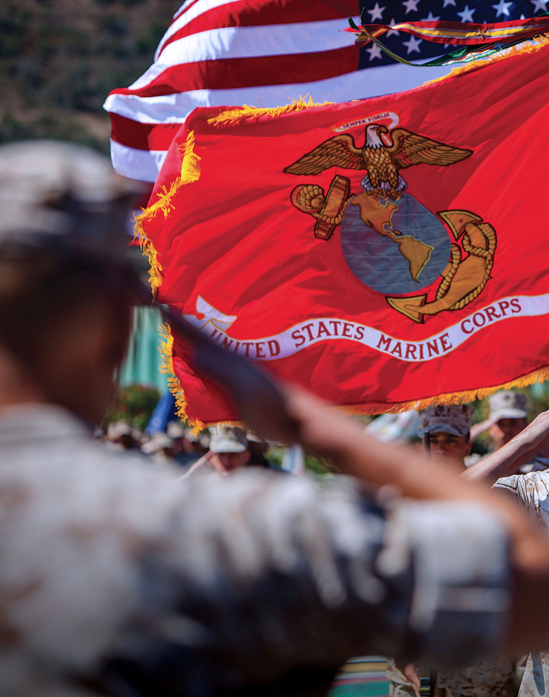 The Marine Corps Flag