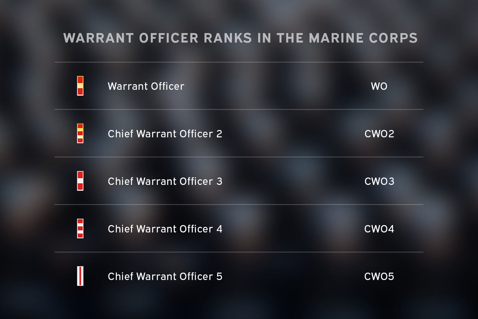 Marine Corps warrant officer rank chart showing insignia from WO to CWO5 with corresponding titles.