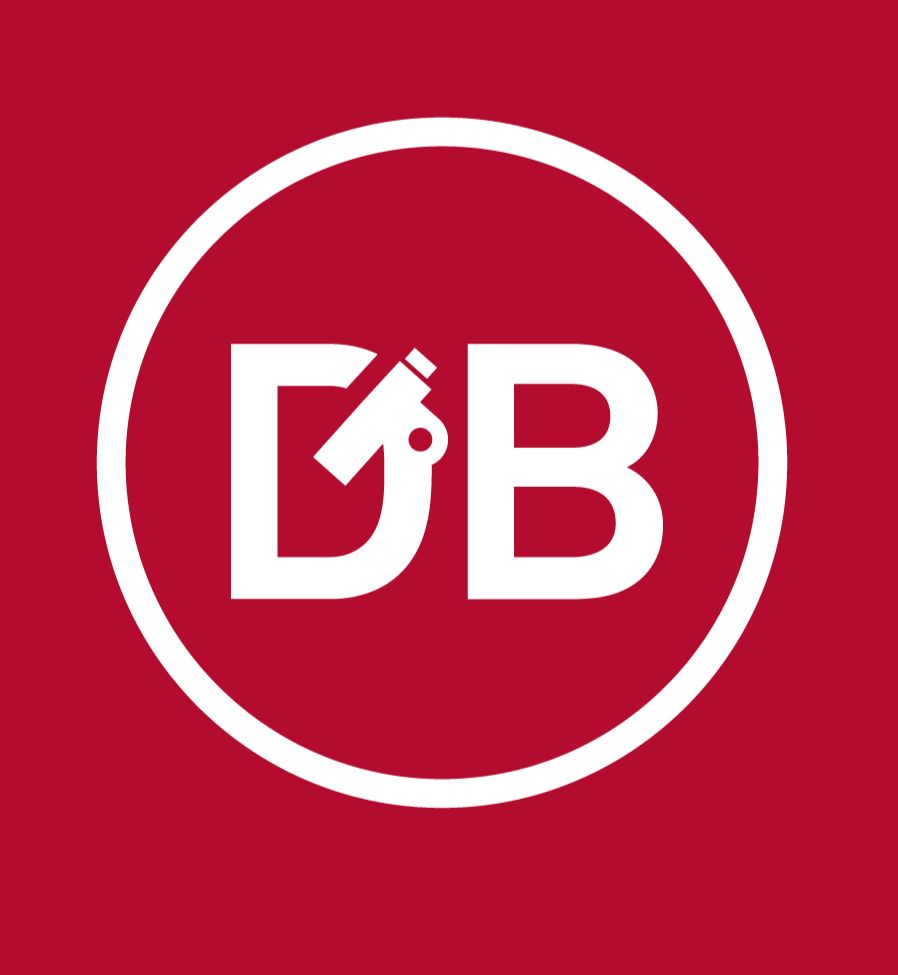 DB LOGO 1