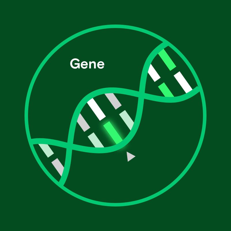 DNA gene illustration