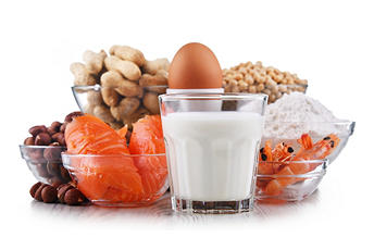 與常見食品過敏原的組成，包括雞蛋，牛奶，大豆，花生，榛子，魚，海鮮和小麥粉