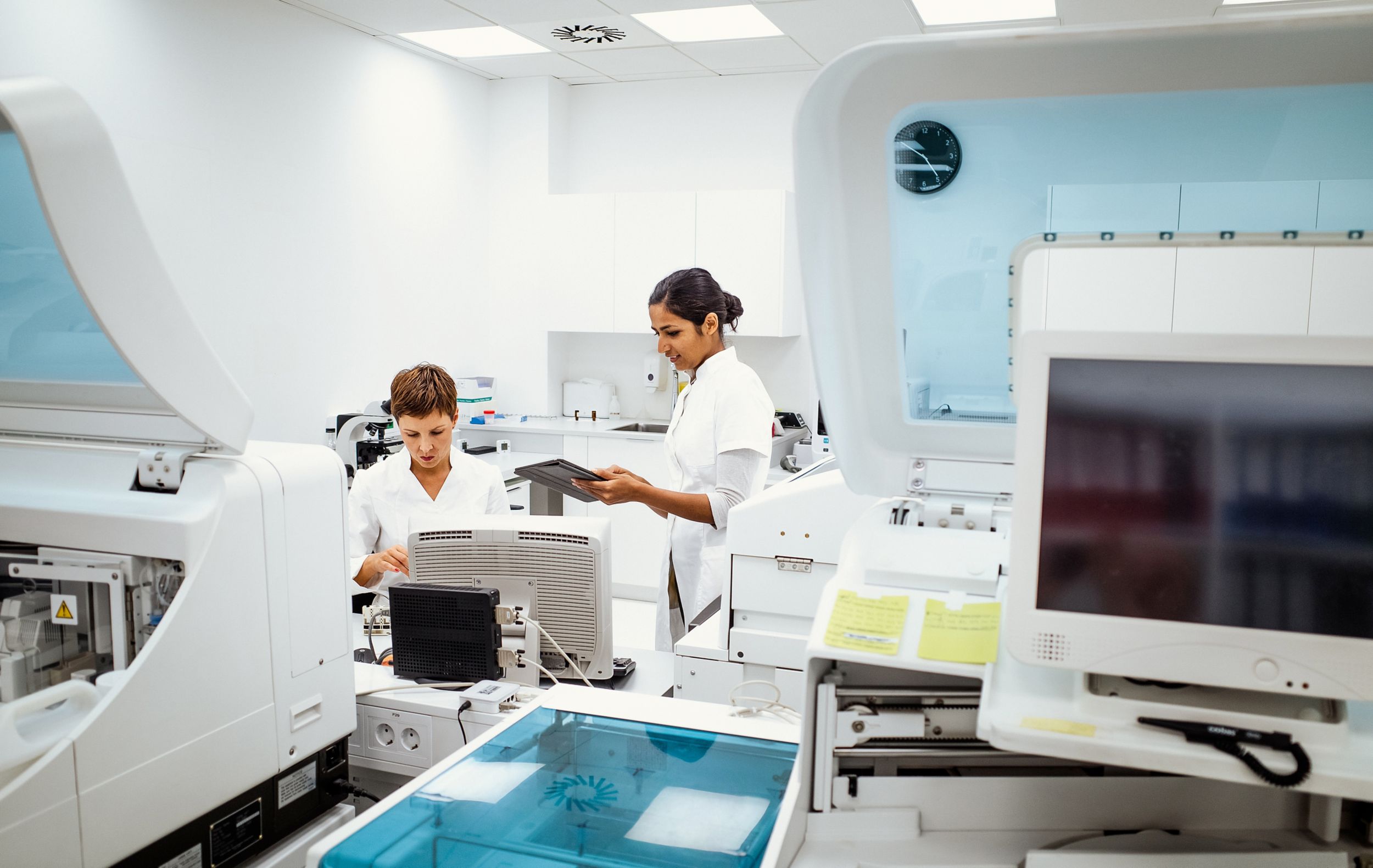 Scientist working in the laboratory