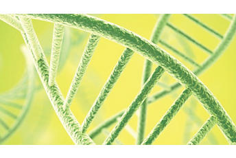 遺傳學 -  GRN DNA