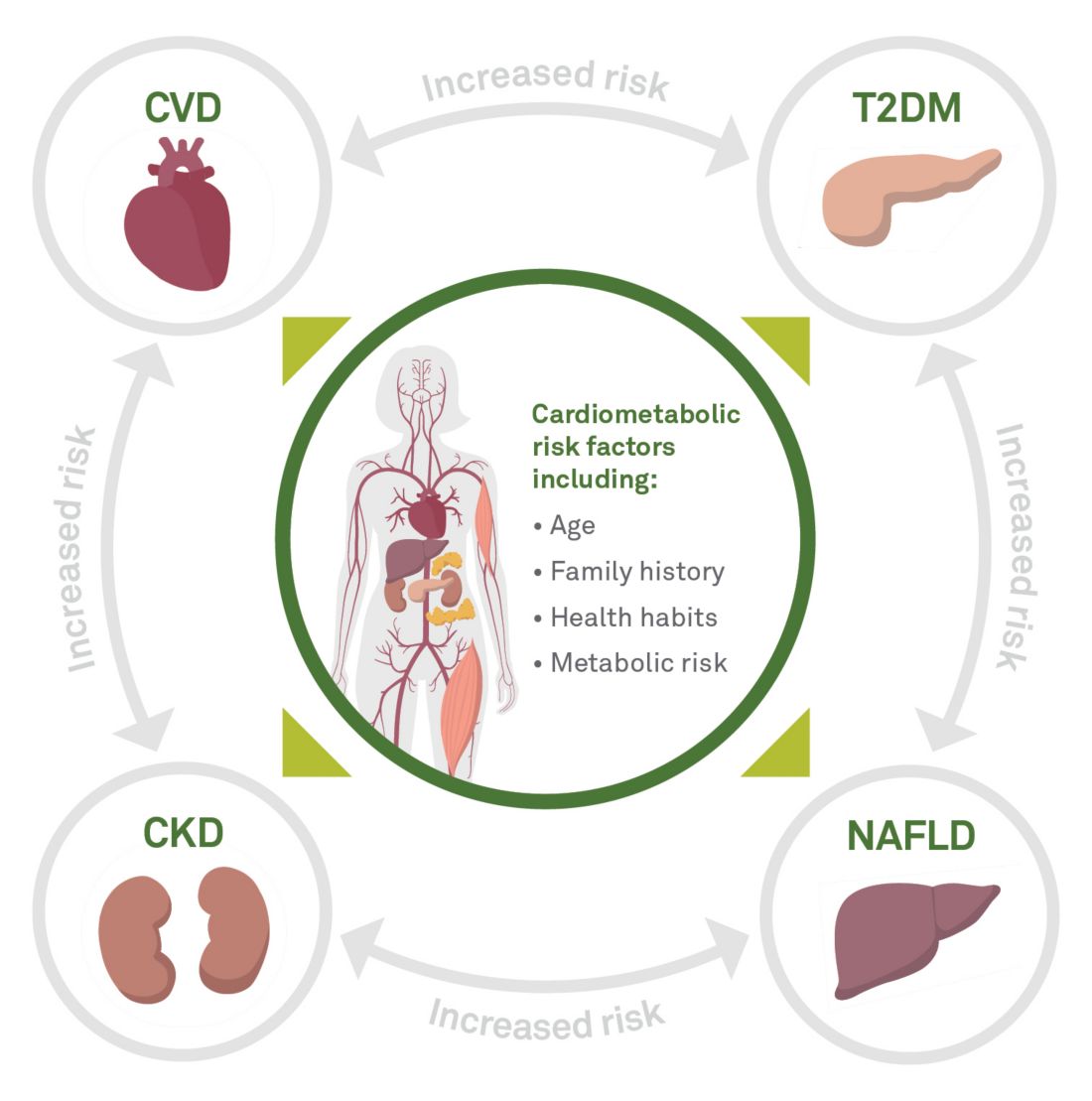 Markers to Assess Heart Health Including Needed Tests