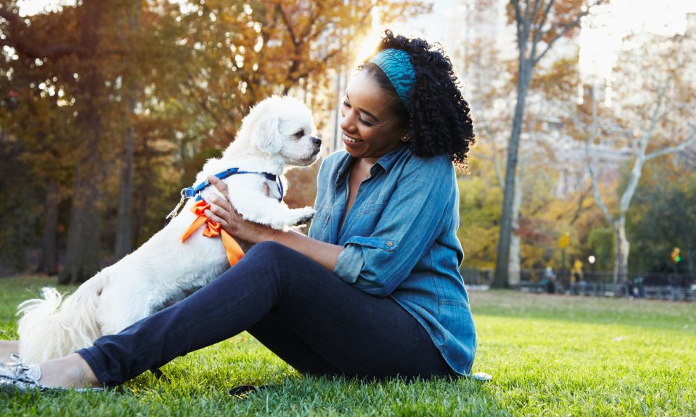 Woman playing with dog
