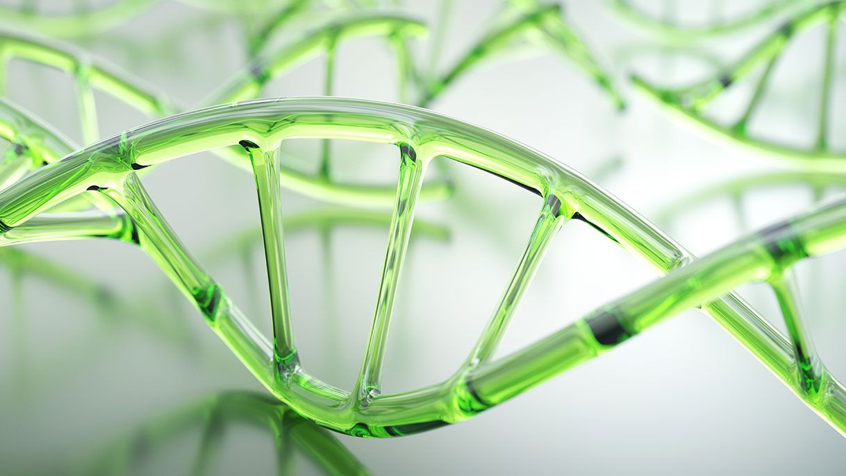 DNA Double helix in green