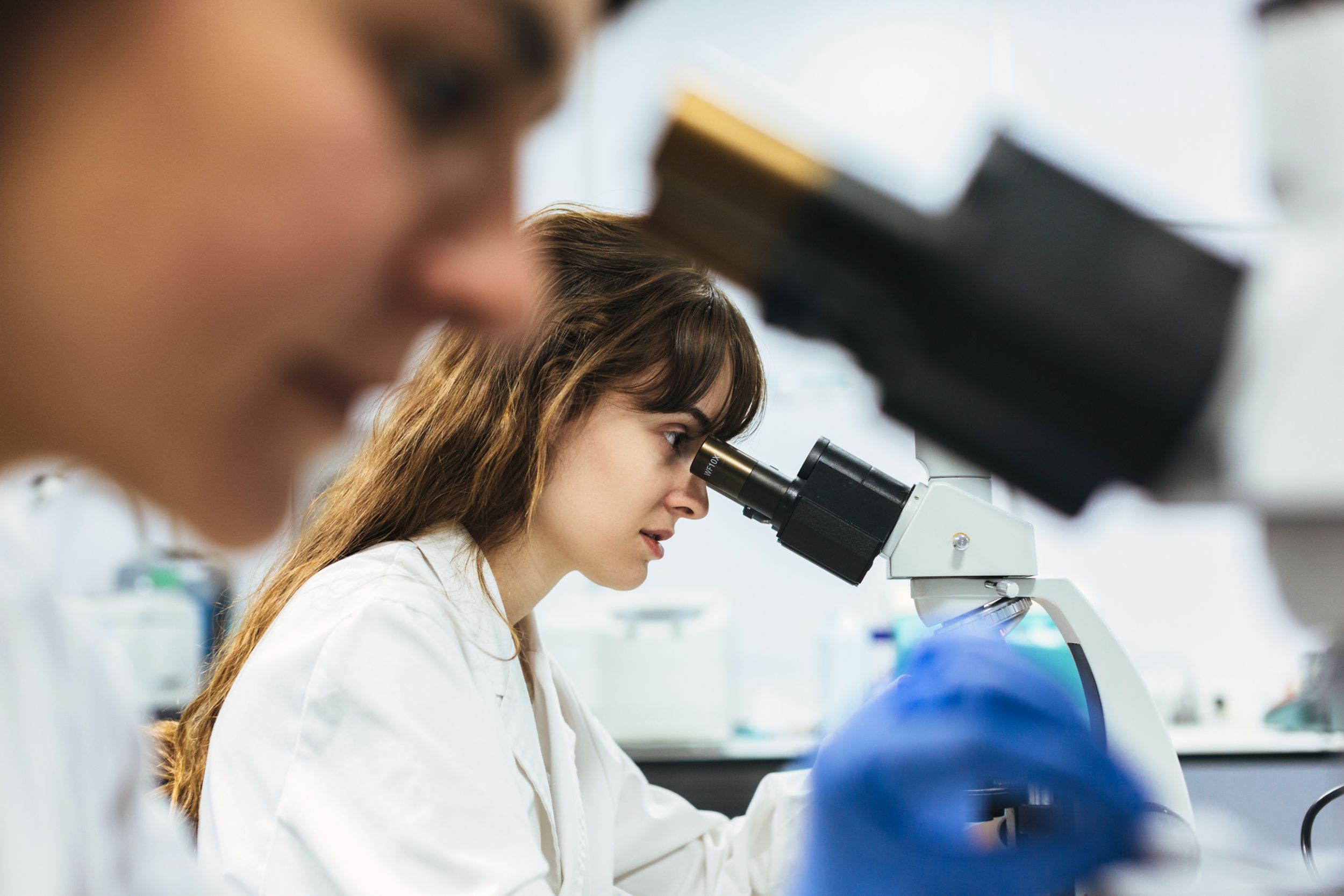 Side view of two young women working in laboratory with microscope.