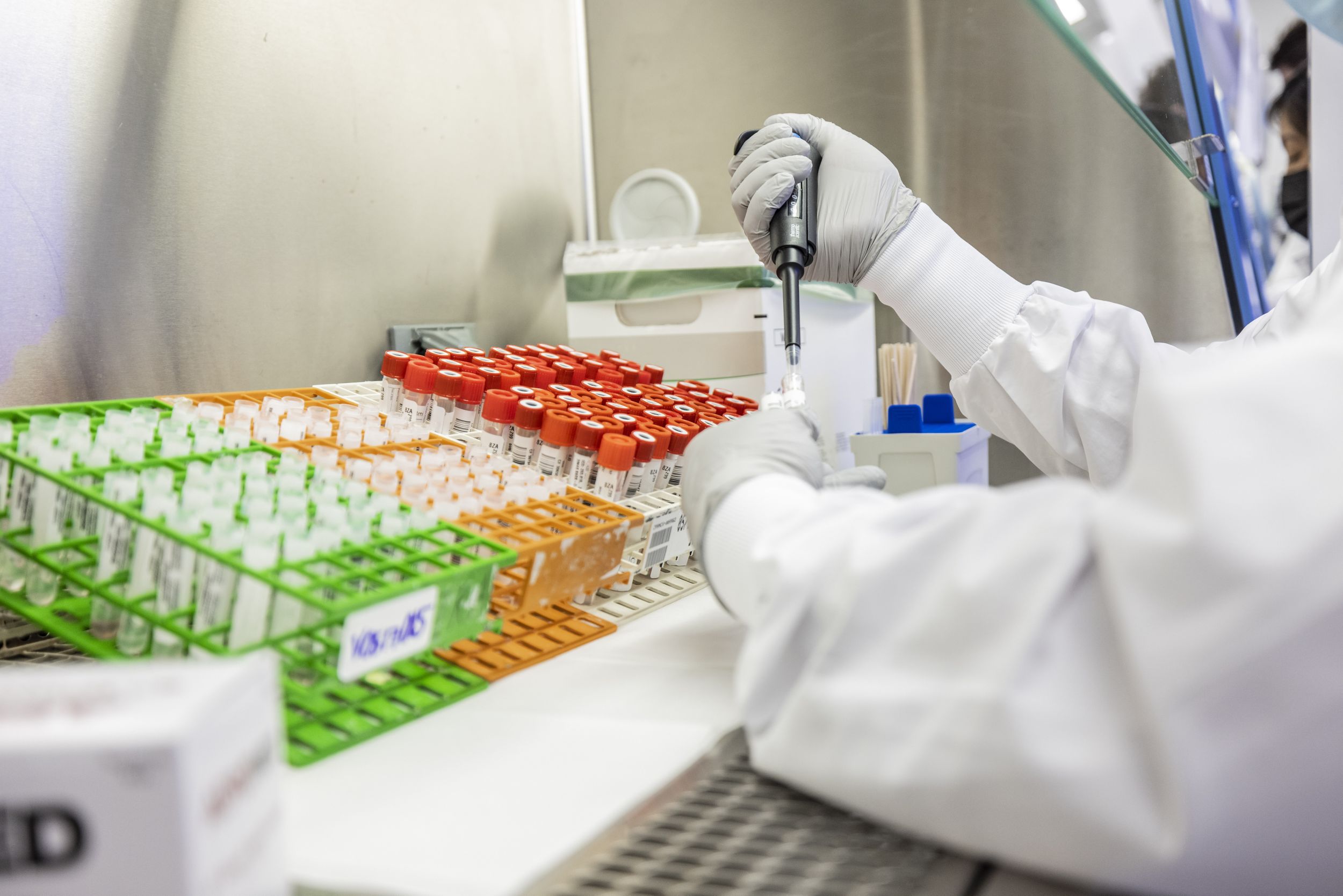 Someone testing samples in a lab