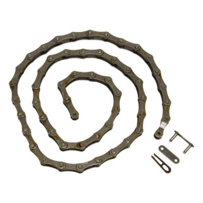 Seed Transmission Chain